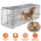 Humane Live Animal Trap Cage Folding Steel Control Cage For Raccoons Cats Foxes Small Animals Saf 13