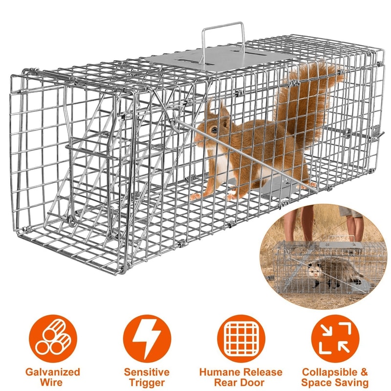 Humane Live Animal Trap Cage Folding Steel Control Cage For Raccoons Cats Foxes Small Animals Saf 13