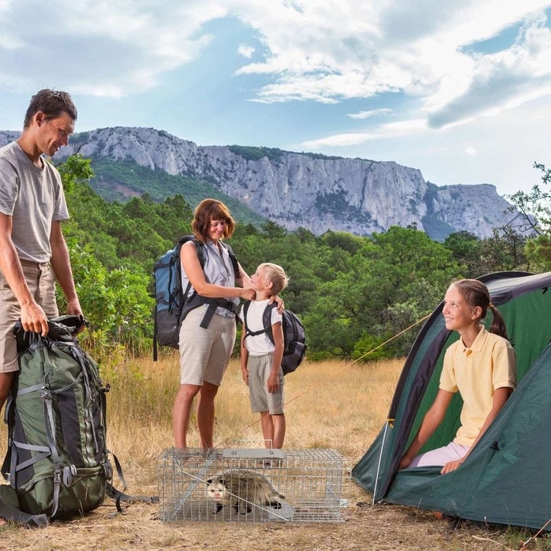 Humane Live Animal Trap Cage Folding Steel Control Cage For Raccoons Cats Foxes Small Animals Saf 3