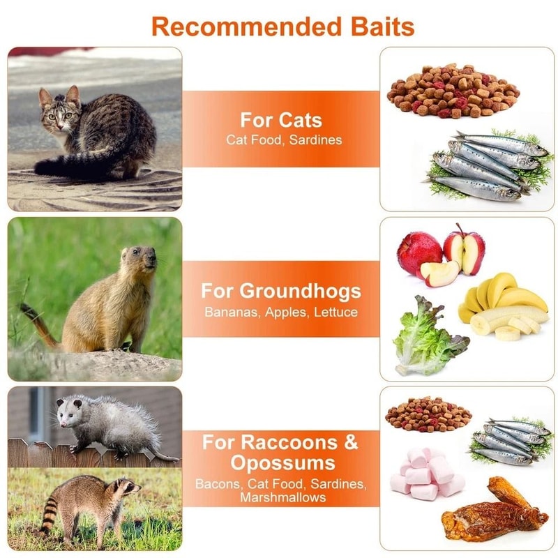 Humane Live Animal Trap Cage Folding Steel Control Cage For Raccoons Cats Foxes Small Animals Saf 8