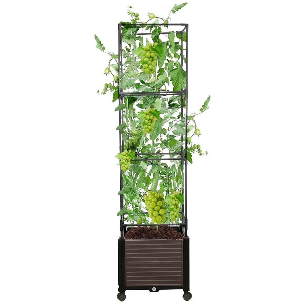 SelfWatering Garden Bed Planter Box Vertical Plants Bin With Lockable Wheels For Easy Yard Mobility 2