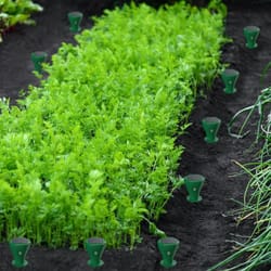 solar mole repellent , gopher & groundhog deterrent stake tool, vibration-activated for outdoor use