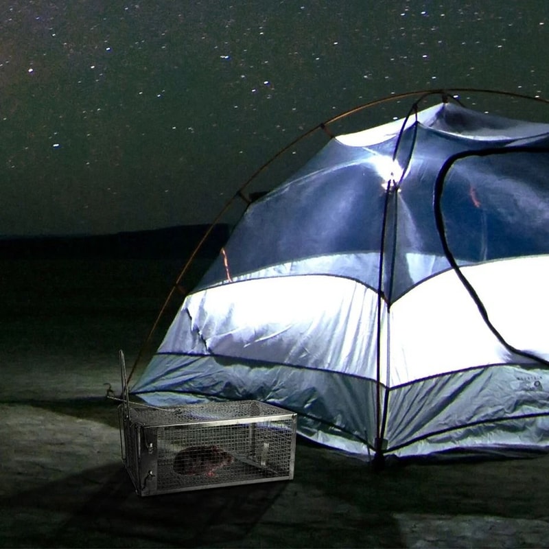 Small Live Animal Trap Cage Humane Rat Trap For Rodent Control NonToxic Pest Bait Trap Catch Mice R 1