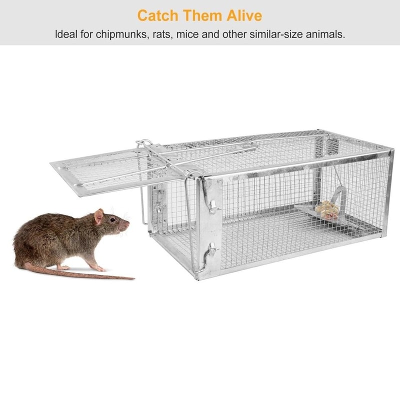Small Live Animal Trap Cage Humane Rat Trap For Rodent Control NonToxic Pest Bait Trap Catch Mice R 5