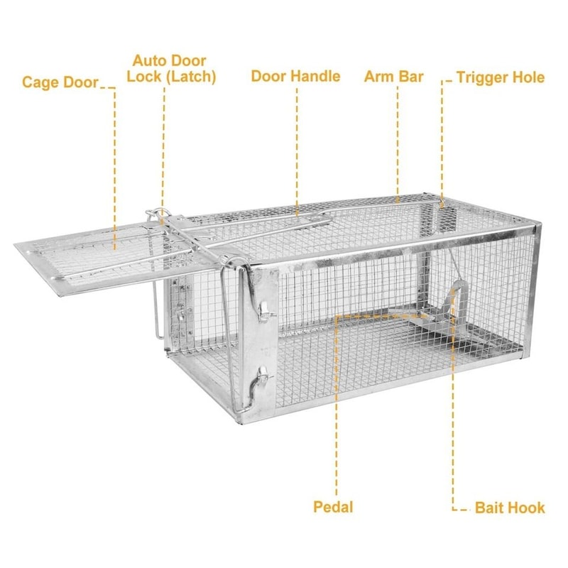 Small Live Animal Trap Cage Humane Rat Trap For Rodent Control NonToxic Pest Bait Trap Catch Mice R 7