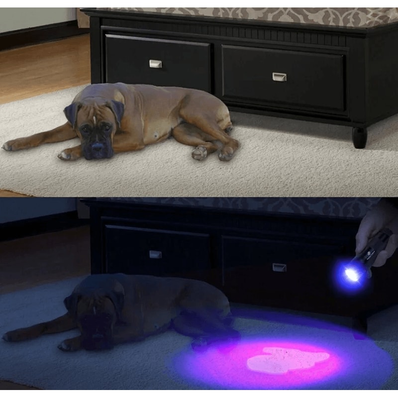 UV Ultra Violet LED Flashlight Blacklight Light 395 Nm Inspection Lamp Torch For Authenticity Leak 7