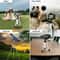 Phone Holder Tripod Stand For Smartphones Professional Camera Tripod With Bag 3