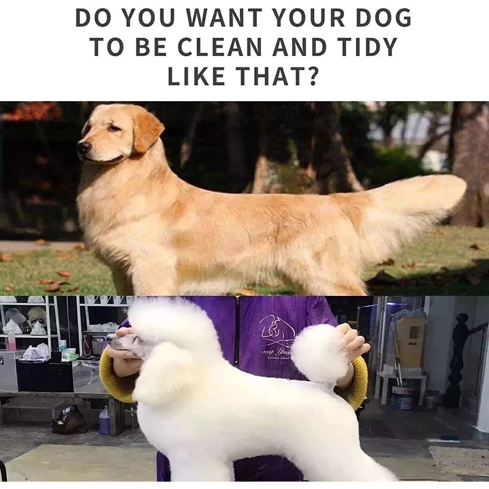 Rechargeable Dog Cat Grooming Kit Cordless Electric Hair Clipper Trimmer Set For Professional Groom 1