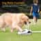 Pet Water Fountain Portable Dog Water Dispenser Cat Sprinkler Feeder For Dogs And Cats 9