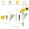 LED Tulip Flower Lights Solar Powered Outdoor Garden Pathway Lamp Lawn Decor 10