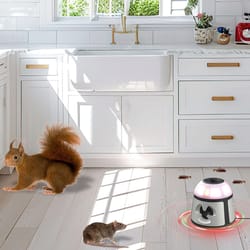 indoor rodent repeller for office, ultrasonic mice control, no kill rat & squirrel device for home