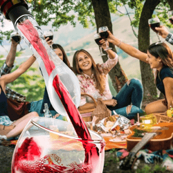 new wine bottle aerator, spout aerating decanter pourer for smooth pouring