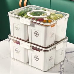 picnic box, airtight fruit storage, food storage fridge for convenience and freshness