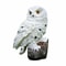 Decorative Solar Owl Stake Lights Solar Lights Outdoor Lights For Yard Decorations Gift Ideal Gard 9