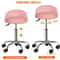 Hydraulic Saddle Rolling Chair Adjustable Salon Stool Tattoo Facial Massage Pink 8