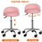 Hydraulic Saddle Rolling Chair Adjustable Salon Stool Tattoo Facial Massage Pink 8