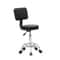 Adjustable Salon Stool Chair HeavyDuty Hydraulic Rolling For Beauty Massage Spa Smooth Rolling 2