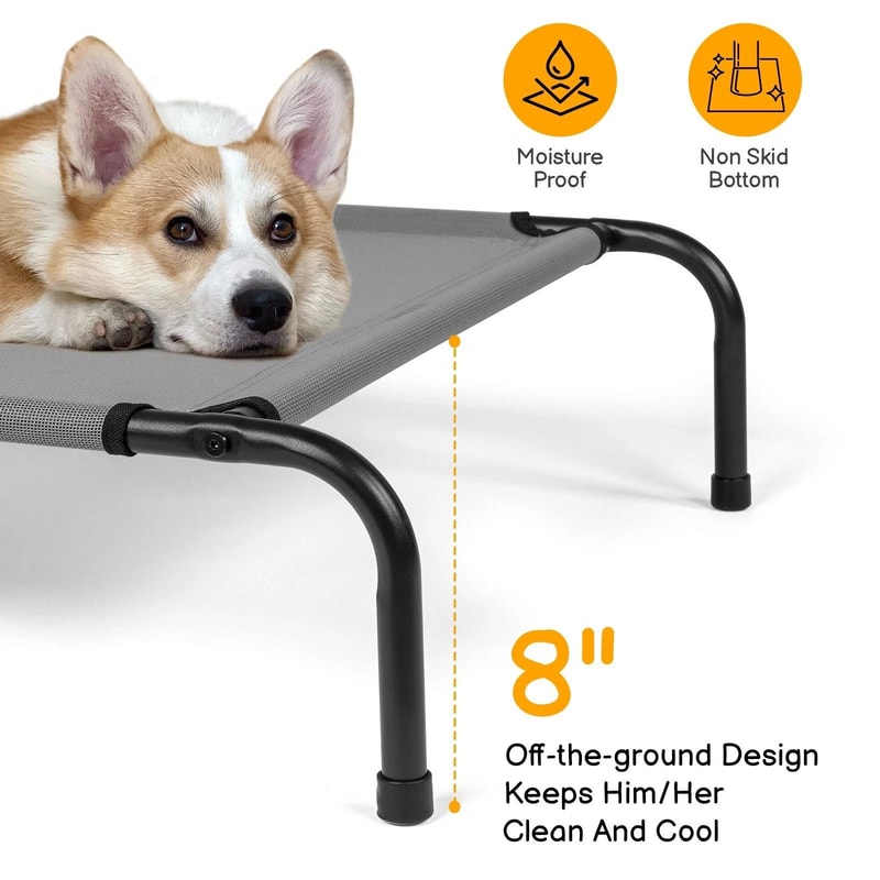 Raised Pet Cot For Indoor Outdoor Use Dog Bed Elevated Durable Steel Frame Comfortable And Support 5