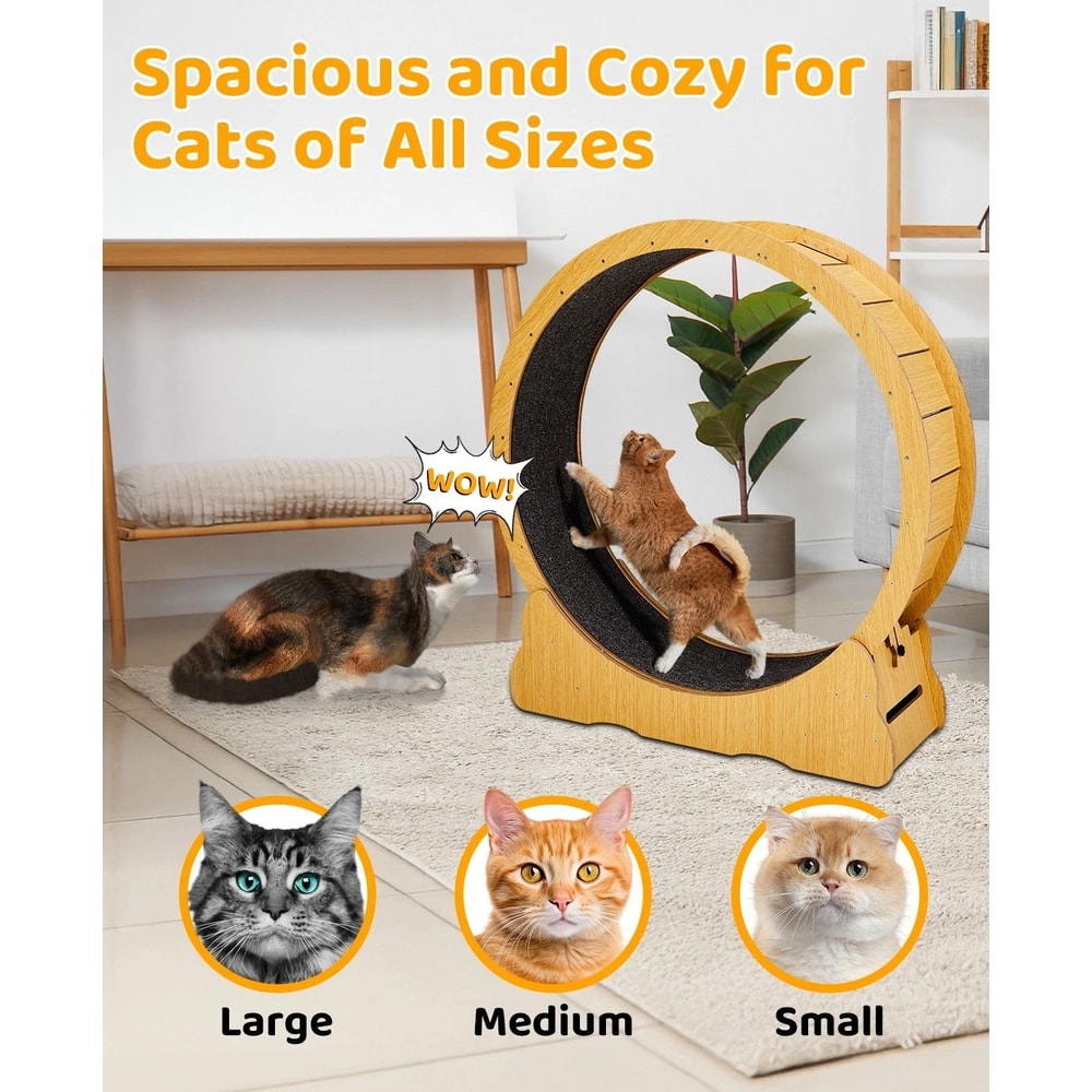 Natural Wood Portable Cat Running Treadmill Indoor Exerciser Wheel Toy For Cats And Kittens 4