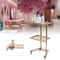 Stainless Steel 2 Tier Gold Beauty Salon SPA Rolling Cart Foldable Tray Trolley 1