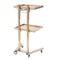 Stainless Steel 2 Tier Gold Beauty Salon SPA Rolling Cart Foldable Tray Trolley 4