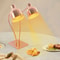 2Head Food Warming Lamp Gold Tabletop Food Insulation Lamp Food Warmer 1