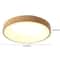 Acrylic Lampshade LED Ceiling Light Modern Flush Mount Indoor Chandelier Fixture 2