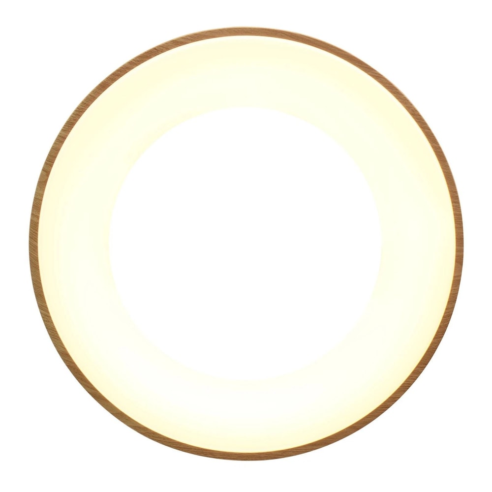 Acrylic Lampshade LED Ceiling Light Modern Flush Mount Indoor Chandelier Fixture 3