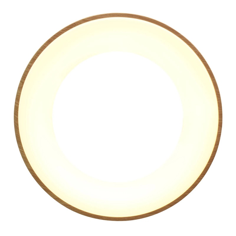 Acrylic Lampshade LED Ceiling Light Modern Flush Mount Indoor Chandelier Fixture 3