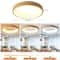 Acrylic Lampshade LED Ceiling Light Modern Flush Mount Indoor Chandelier Fixture 7