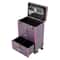 Travel Vanity Organizer Portable Makeup Train Case Professional Cosmetic Trolley 13