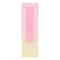Gradient Color Acrylic Vase For Home Decor Desktop Flower Vase 1