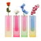 Gradient Color Acrylic Vase For Home Decor Desktop Flower Vase 9