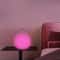 USB Battery Powered LED Table Lamp Sphere Dimmable Remote Control Handle 8