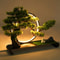 Backflow Incense Zen Artificial Pine Tree With Lamp Rings Decoration 110V For Home Meditation Ambia 8