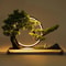 Backflow Incense Zen Artificial Pine Tree With Lamp Rings Decoration 110V For Home Meditation Ambia 9