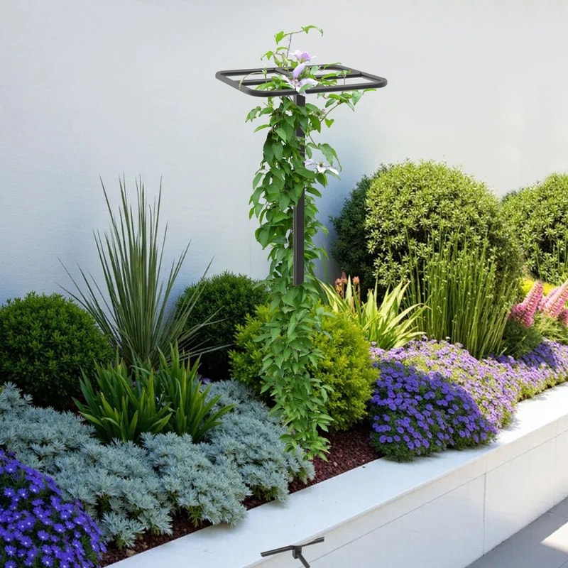 Adjustable Garden Plant Climbing Support Dragon Fruit Plant Trellis For Strong Growth 2