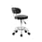 Swivel Salon Stool Chair With Adjustable Hydraulic Backrest And Rolling Wheels 5