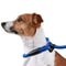 Adjustable Pet Puppy Leash Durable Nylon Slip Lead Dog Training Collar Loop Rope 3