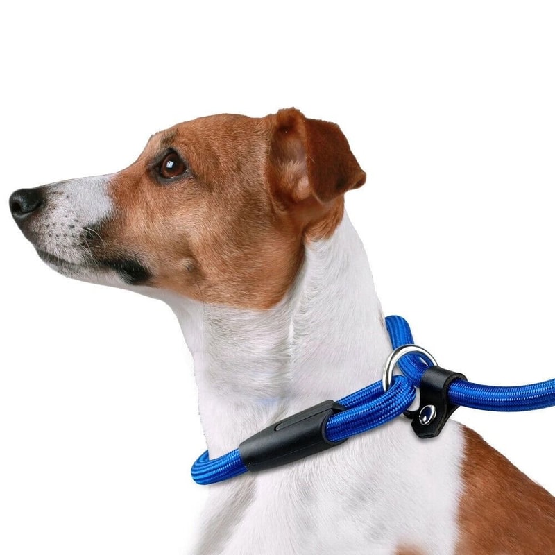Adjustable Pet Puppy Leash Durable Nylon Slip Lead Dog Training Collar Loop Rope 3