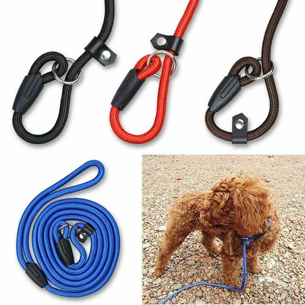 Adjustable Pet Puppy Leash Durable Nylon Slip Lead Dog Training Collar Loop Rope 7