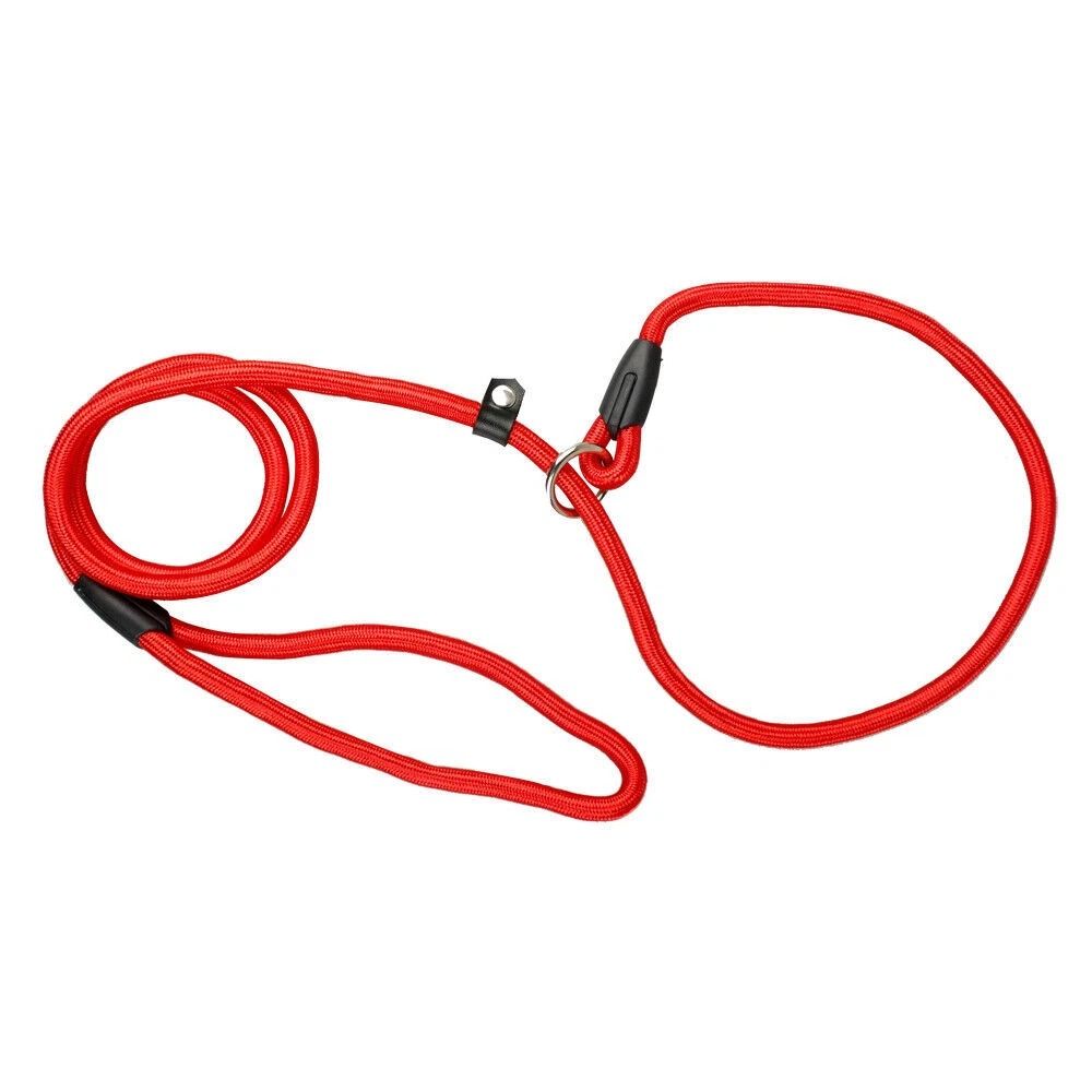 Adjustable Pet Puppy Leash Durable Nylon Slip Lead Dog Training Collar Loop Rope 10