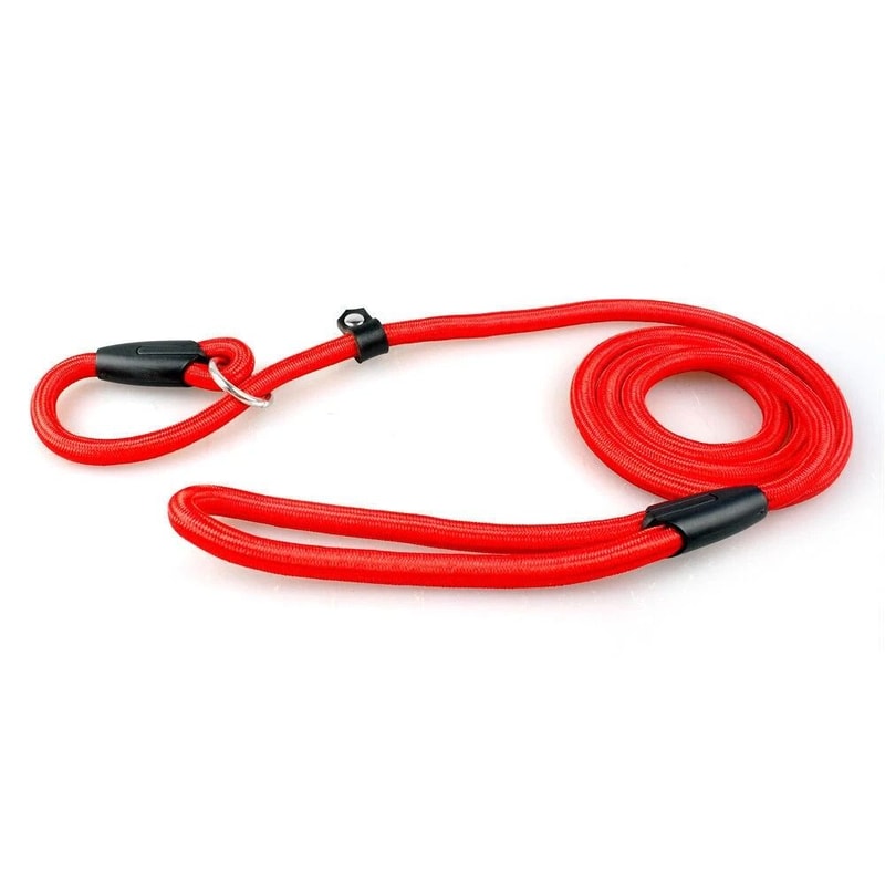 Adjustable Pet Puppy Leash Durable Nylon Slip Lead Dog Training Collar Loop Rope 11