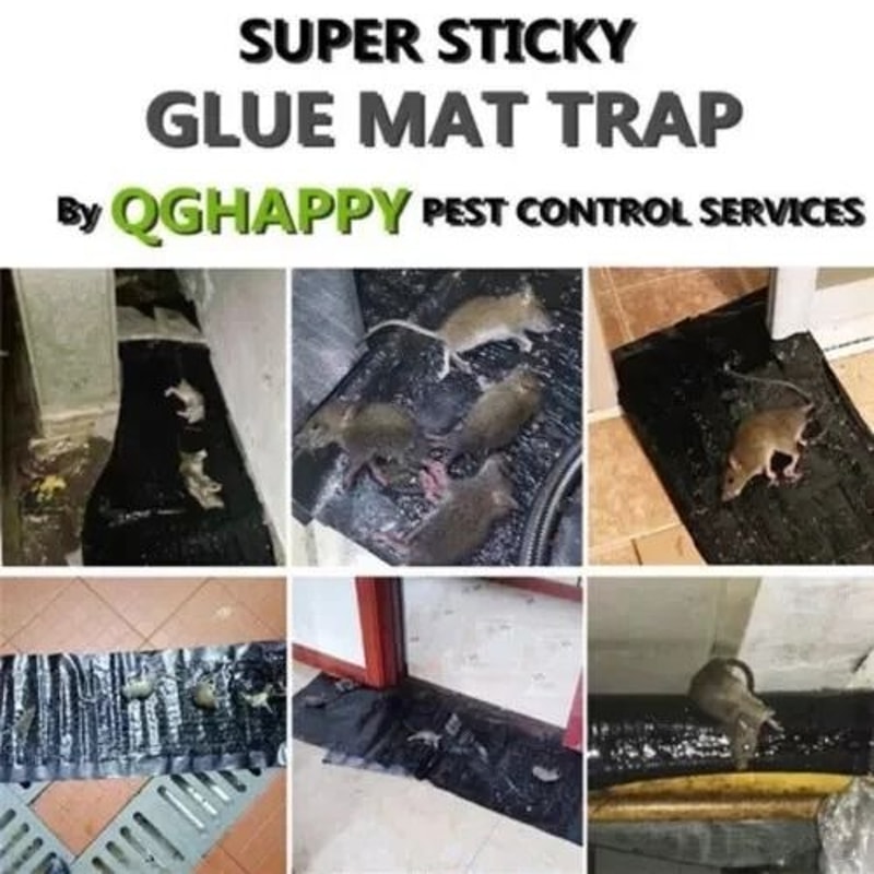 Super Sticky Large Mice Mouse Glue Traps Indoor Rodent Catcher And Rat Board 3