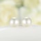Elegant Women Stainless Steel Earrings Classic Simple Natural Pearl Studs 3