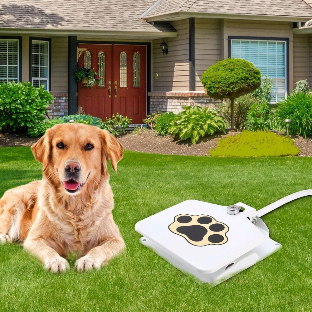Step On Dog Water Fountain Outdoor Paw Activated Fresh Water Dispenser System 3