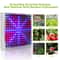 LED Full Spectrum Grow Light For Indoor Plants Veg Bloom 7