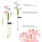 Solar Lily Flower LED Garden Lights Outdoor Pathway 7 Color 6