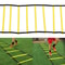 Agility Speed Training Ladder For Football Footwork Fitness Heavy Duty Exercise Equipment 3