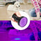 HighPowered UV LED Flashlight Torch Ultra Violet Blacklight For Inspection 0